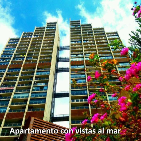 Апартаменты Mirador Del Mediterraneo